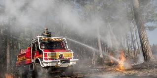 Bomberos y protección civil