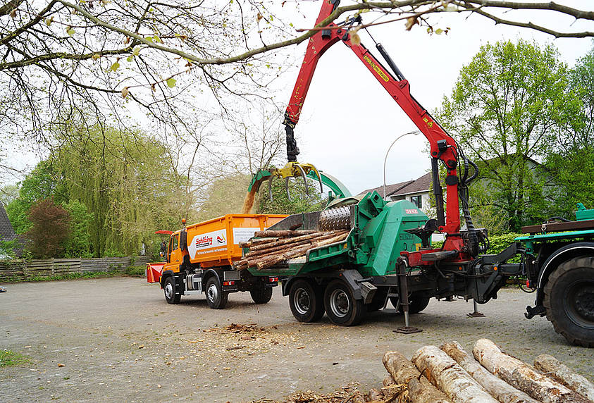 The Unimog U 530 is able to handle the collected trunks of trees immediatelly.